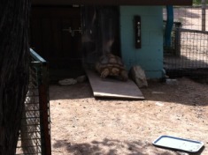 2012-04-09-07-Austin Zoo with Ian.jpg